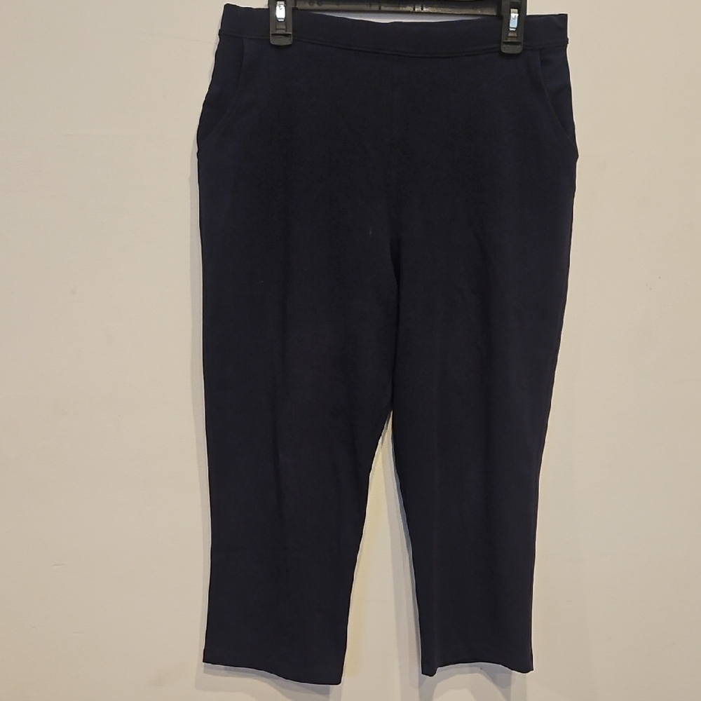 L.L. Bean Dark Blue Cropped Pants